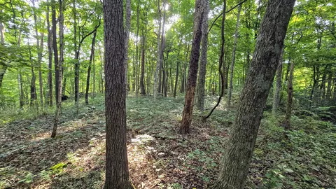 0 Lovers Lane Rd W, Bennington, IN 47011