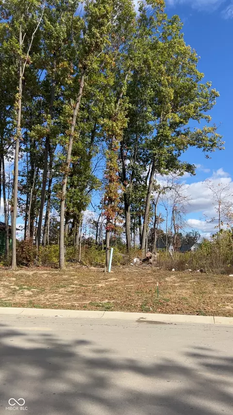 3725 Holliday Farms Blvd, Zionsville, IN 46077