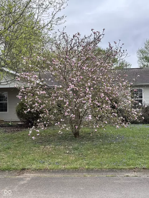 Exterior - 3758 S Walter Ave, Bloomington, IN 47403 photo 3 of 8