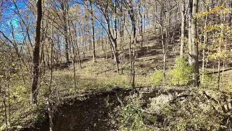 Other - 8273 E State Road 56, Madison, IN 47250 photo 16 of 38