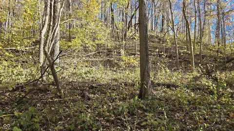 Other - 8273 E State Road 56, Madison, IN 47250 photo 18 of 38