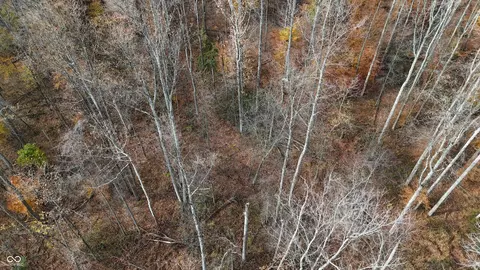0 S County Road 200 E, Commiskey, IN 47227 photo 51