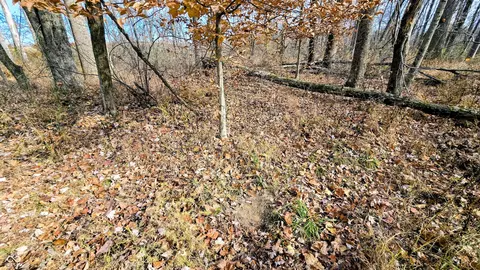 0 S County Road 200 E, Commiskey, IN 47227 photo 34