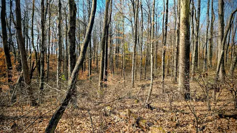 0 S County Road 200 E, Commiskey, IN 47227 photo 32