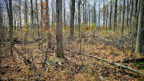 0 S County Road 200 E, Commiskey, IN 47227 photo 9