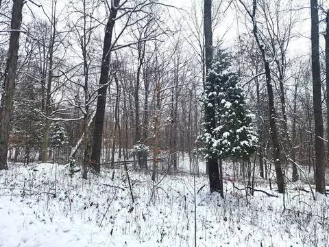 tbd Dogwood Acres Dr, Williams, IN 47470