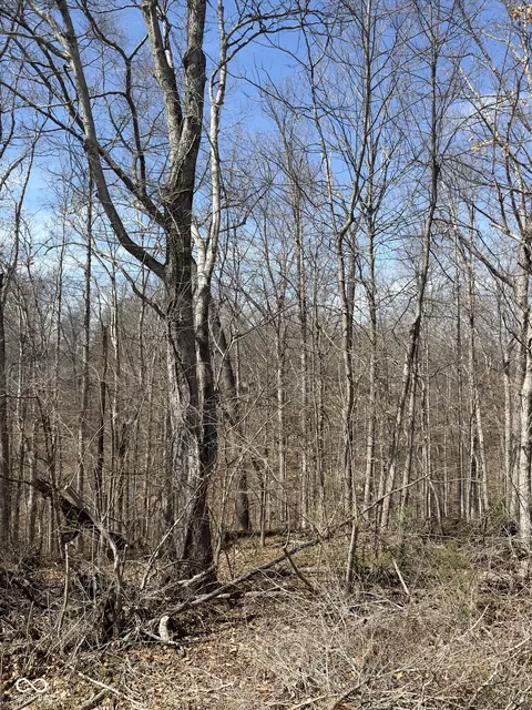 0 Treetop Ln, Nashville, IN 47448