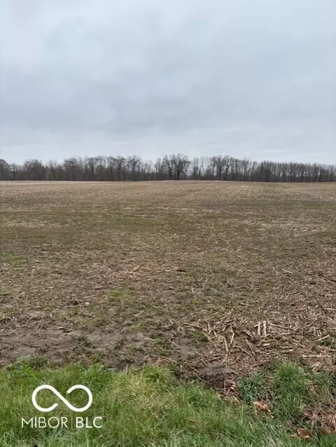 1500 W Blubaugh Ave, Thorntown, IN 46071