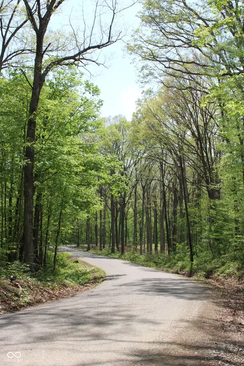 Tract 4: 0 N County Road 555 E, Butlerville, IN 47265