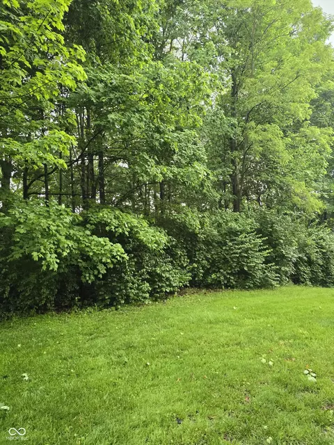9895 Irishmans Run Ln, Zionsville, IN 46077