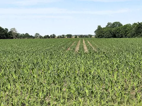 0 N State Road 75, North Salem, IN 46165