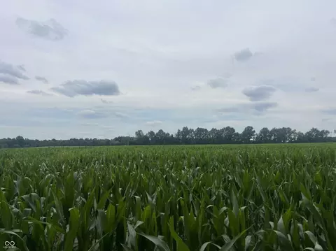 0 W State Rd 250, Paris Crossing, IN 47270