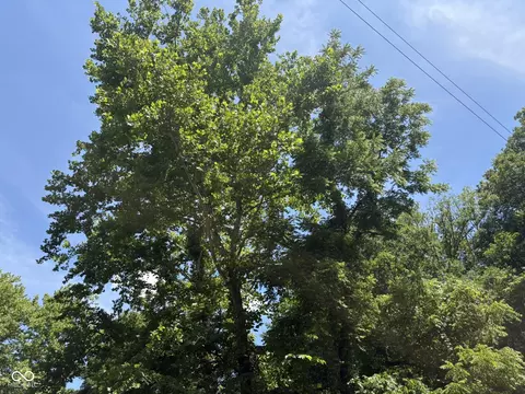 Other - 9713 E Birch Rd, Bloomfield, IN 47424 photo 2 of 12