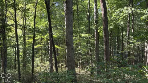 Other - 0 E Michaels Rd, Bloomfield, IN 47424 photo 15 of 25