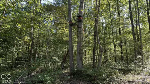 Other - 0 E Michaels Rd, Bloomfield, IN 47424 photo 16 of 25
