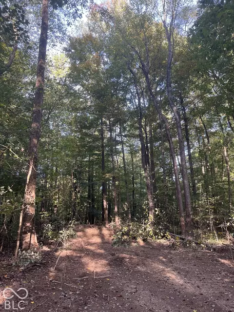 Tract 9 Sunnyside Road, Deputy, IN 47230