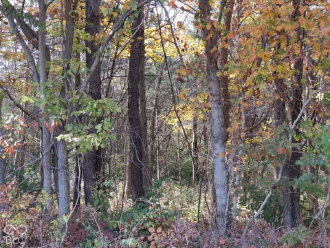 00 E Sr 46, Hope, IN 47246 photo 2