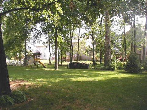 12502 N Lantern Rd, Fishers, IN 46038 photo 7