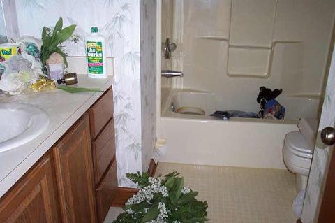 1010 Yellowbrick Rd, Pendleton, IN 46064 photo 5