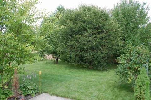 913 E Brookside Ln, Plainfield, IN 46168 photo 3