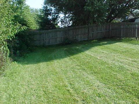 3141 Shellbark Dr, Indianapolis, IN 46235 photo 3