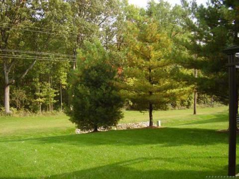6343 Quail Ridge E Dr, Plainfield, IN 46168 photo 10