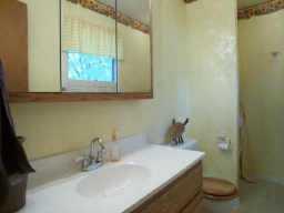 8302 Five Points Rd, Indianapolis, IN 46259 photo 10