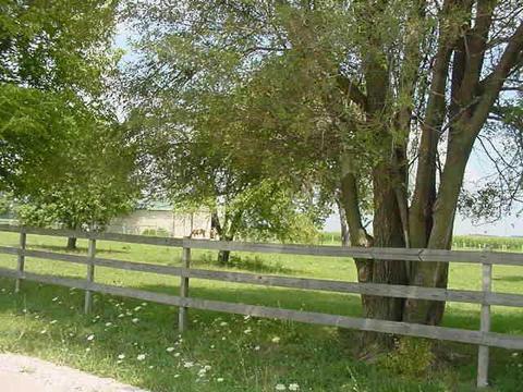 10559 N 500 E, Pendleton, IN 46064 photo 9