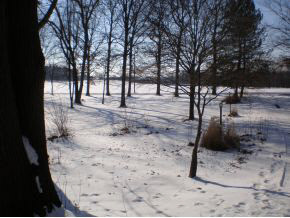 2650 Pine Rd, Plymouth, IN 46563 photo 18