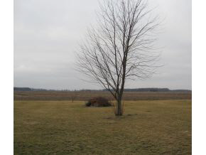 9592 S Sr 25, Rochester, IN 46975 photo 3