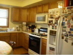 255 E Yellowstone Trl, Hamlet, IN 46532 photo 13