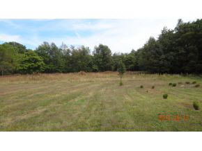 8516 Tulip Rd, Plymouth, IN 46563 photo 9