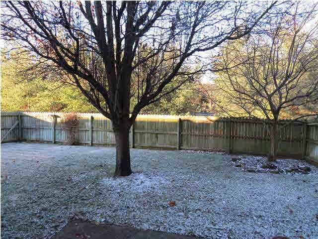 417 Hollybush Ln, Evansville, IN 47715 photo 12