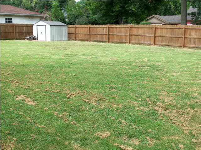 7416 Adams Ave, Evansville, IN 47715 photo 16