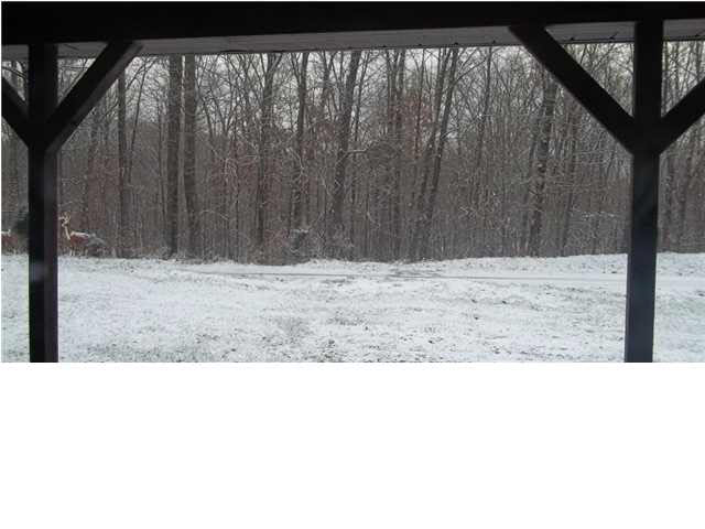 8130 Tedrow Rd, Shoals, IN 47581 photo 16