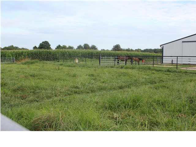 6662 S 350 E, Montgomery, IN 47558 photo 13
