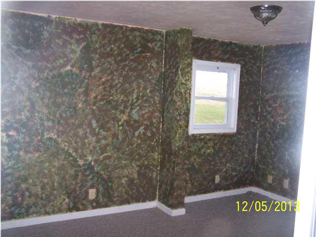 2515 Shakerag Rd, New Harmony, IN 47631 photo 10
