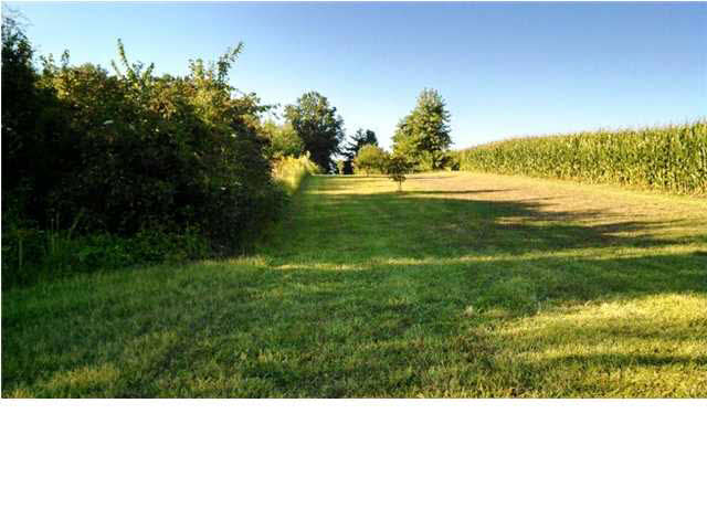 7775 E State Road 62, Dale, IN 47523 photo 6