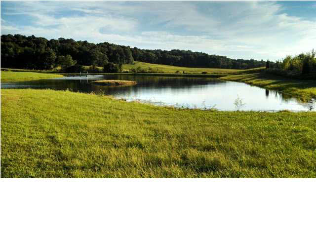 7775 E State Road 62, Dale, IN 47523 photo 5