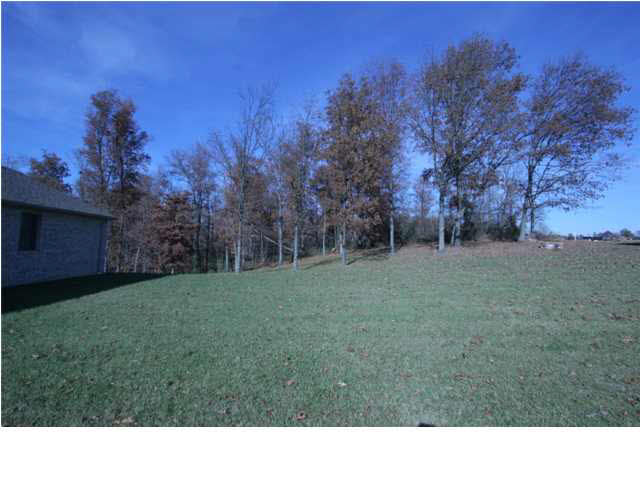 10682 S State Road 161, Holland, IN 47541 photo 4