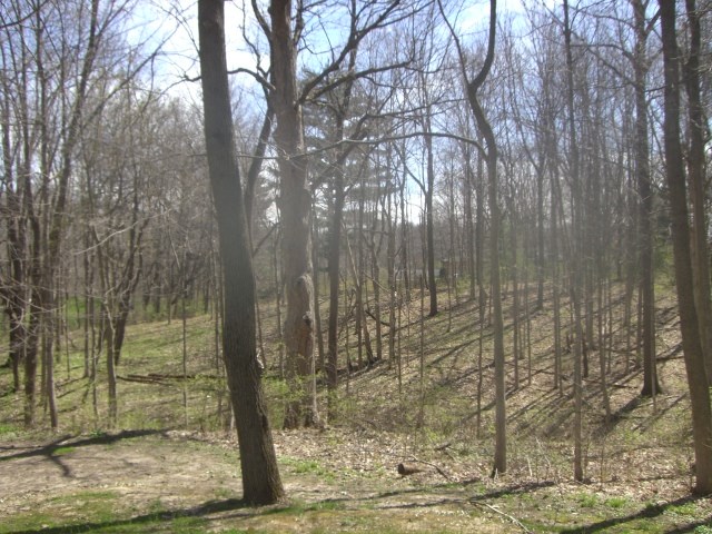 2032 W Lawson Rd, Marion, IN 46952 photo 30