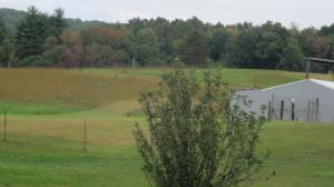 1203 Georgia Firetower Rd, Mitchell, IN 47446 photo 13