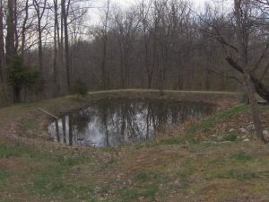 1777 Rariden Hl, Mitchell, IN 47446 photo 4