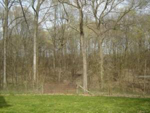 1748 Hollace Chastain Rd, Mitchell, IN 47446 photo 4