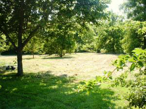 604 Huron Railroad, Mitchell, IN 47446 photo 7