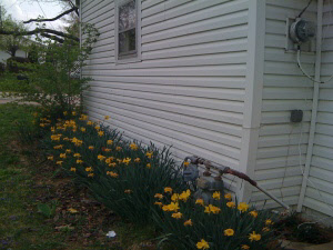 710 W Curry St, Mitchell, IN 47446 photo 20