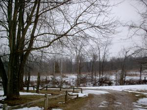 1596 Peerless Rd, Bedford, IN 47421 photo 20