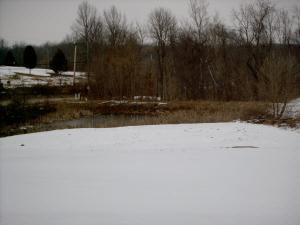 1596 Peerless Rd, Bedford, IN 47421 photo 26