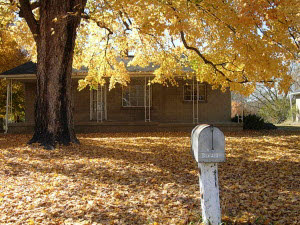 282 Huron Pike Rd, Mitchell, IN 47446 photo 3