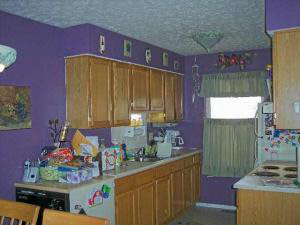 163 J Hunter Dr, Bedford, IN 47421 photo 4